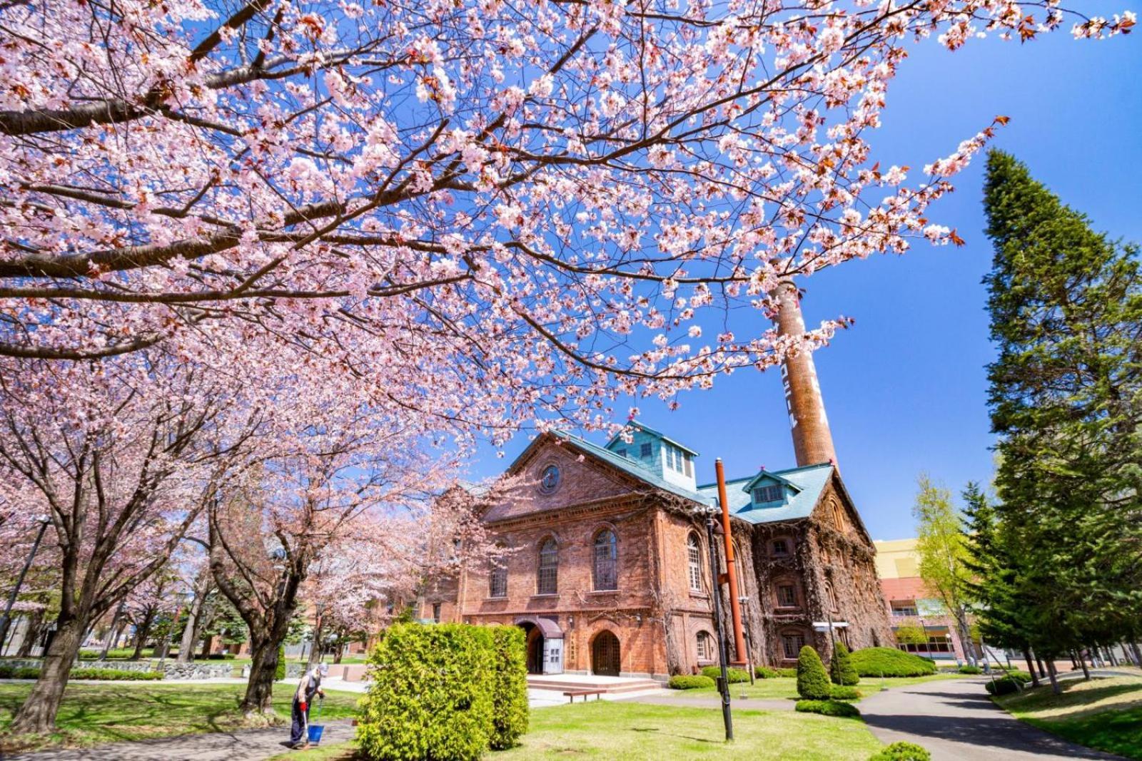Hotel Sunroute Sapporo Dış mekan fotoğraf
